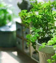 吴忠专属于你的开运指南，助你鸿运当头福满身！