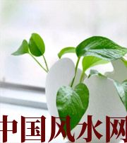 吴忠家中摆放六种吉祥物，会打开您的财运大门！