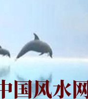 吴忠做梦梦到这些，是要富裕的征兆！